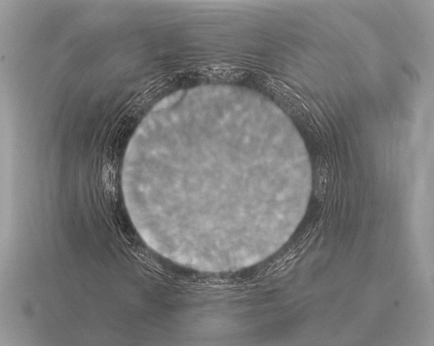 X0000115331010200912141214