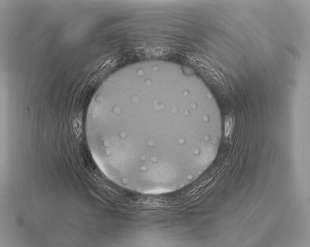 X0000115331011200912141214