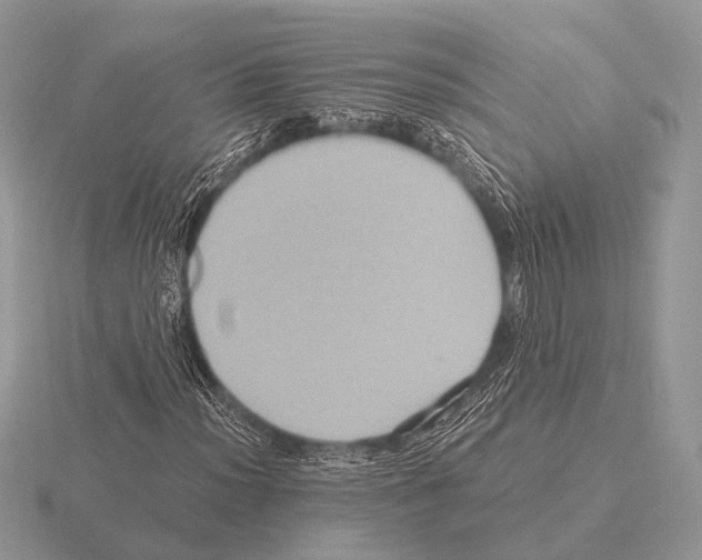 X0000115331012200912141214