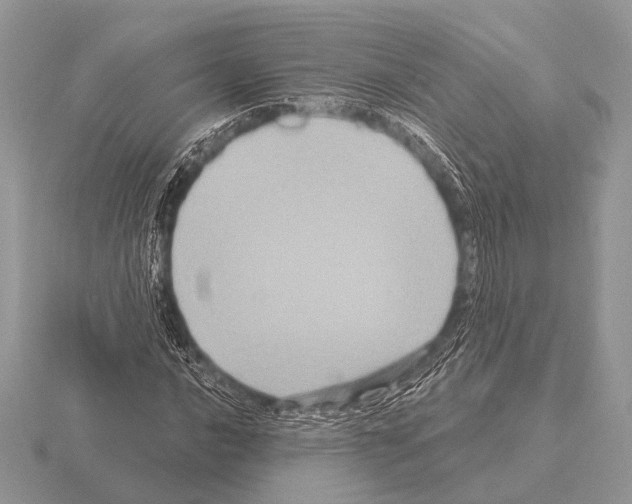 X0000115331016200912141215