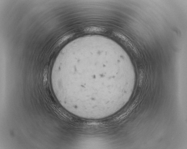 X0000115331017200912141215