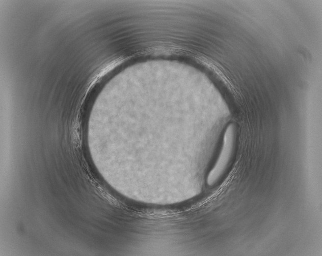 X0000115331018200912141215