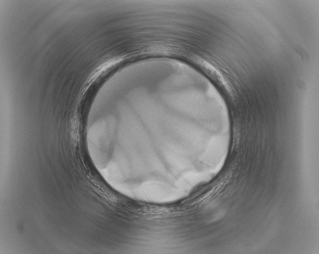 X0000115331019200912141215