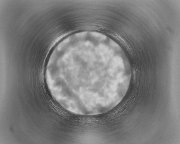 X0000115331020200912141215