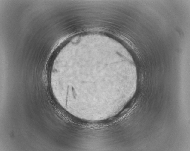 X0000115331022200912141215