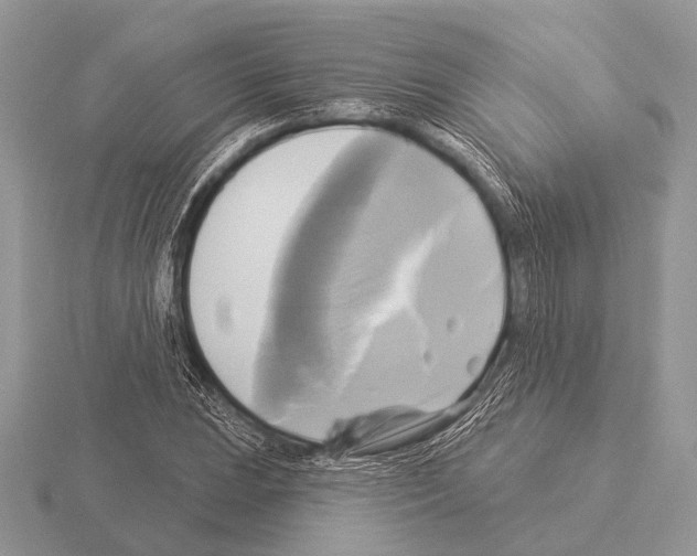 X0000115331023200912141215