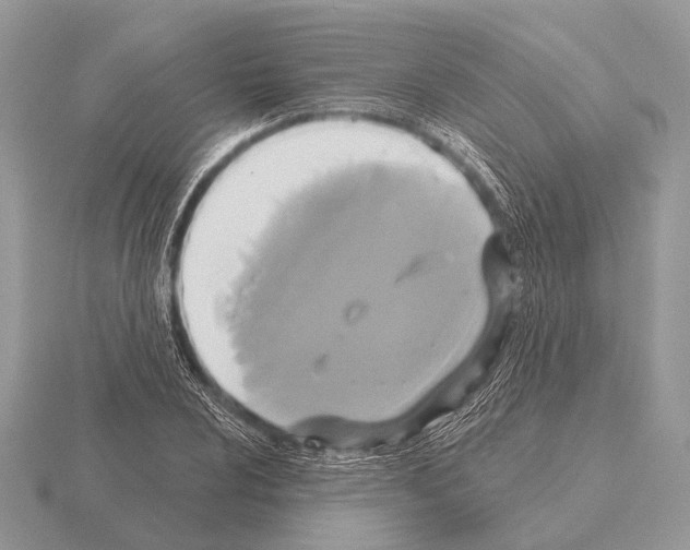 X0000115331024200912141215