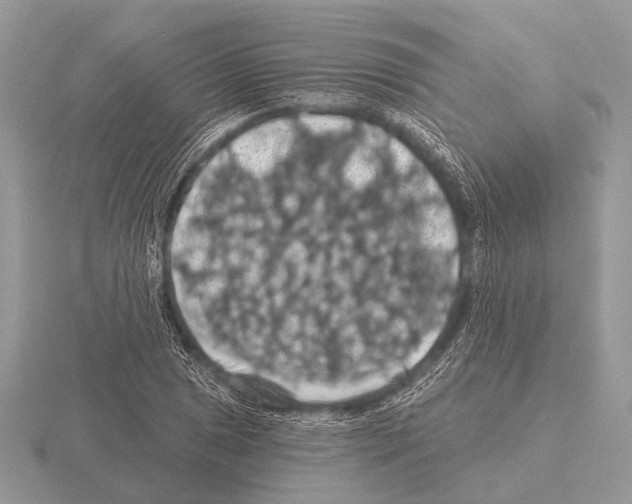 X0000115331025200912141215