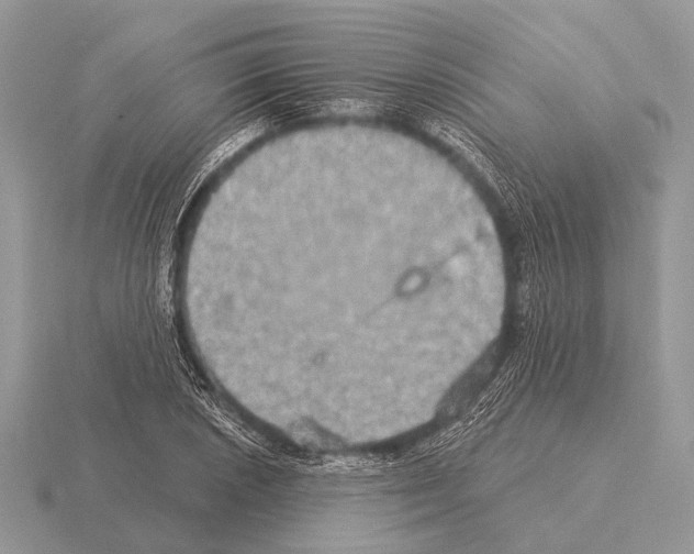 X0000115331026200912141215