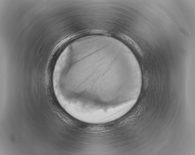 X0000115331027200912141215