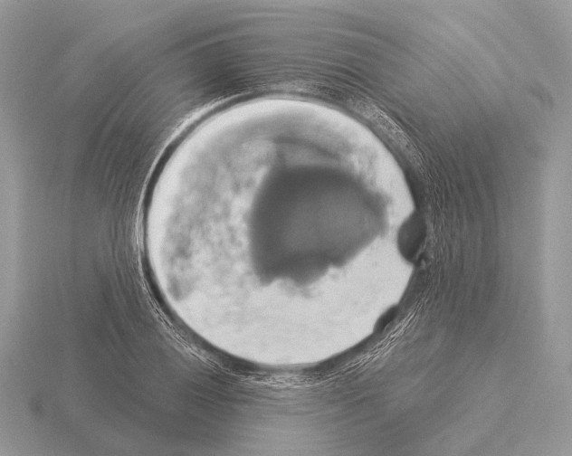 X0000115331028200912141215