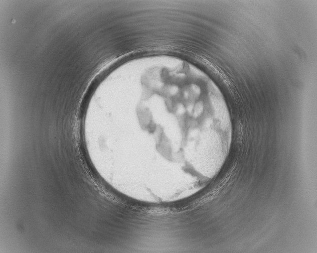 X0000115331029200912141215