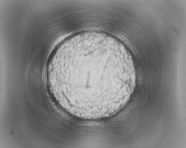 X0000115331030200912141215