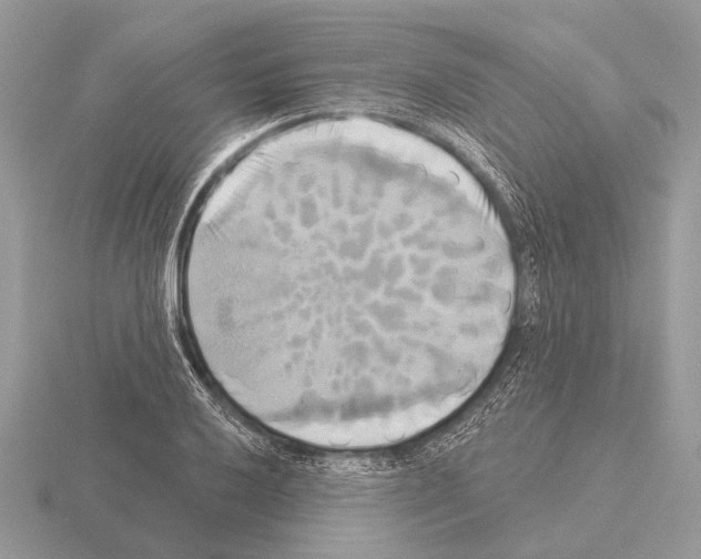 X0000115331032200912141215