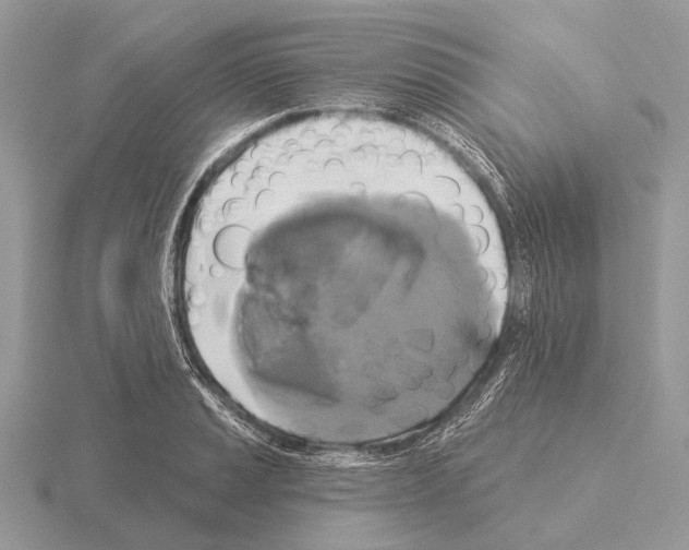 X0000115331037200912141215