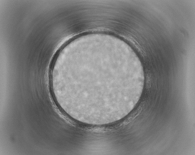 X0000115331038200912141215