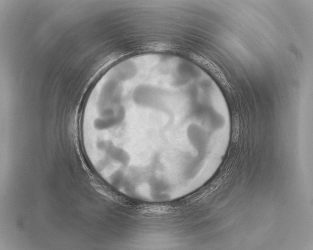 X0000115331039200912141215