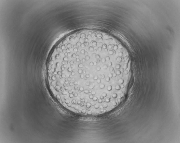 X0000115331040200912141215