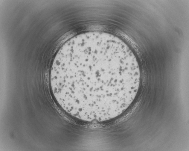 X0000115331041200912141215