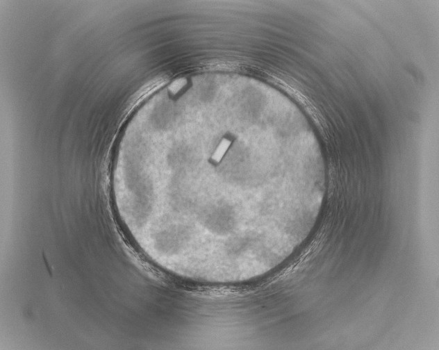 X0000115331042200912141215