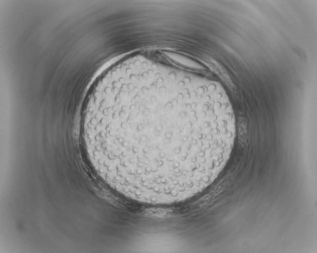 X0000115331044200912141215