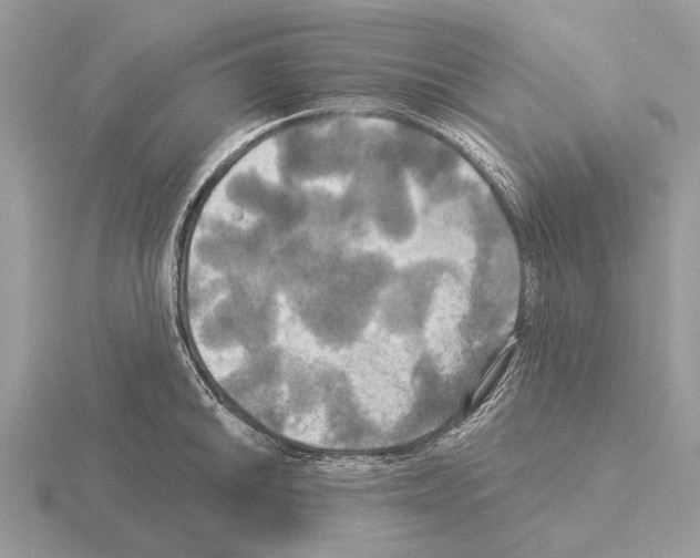 X0000115331046200912141215