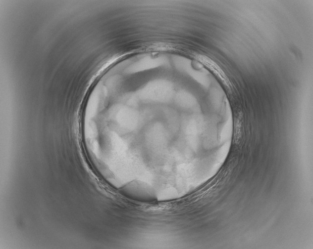 X0000115331047200912141215