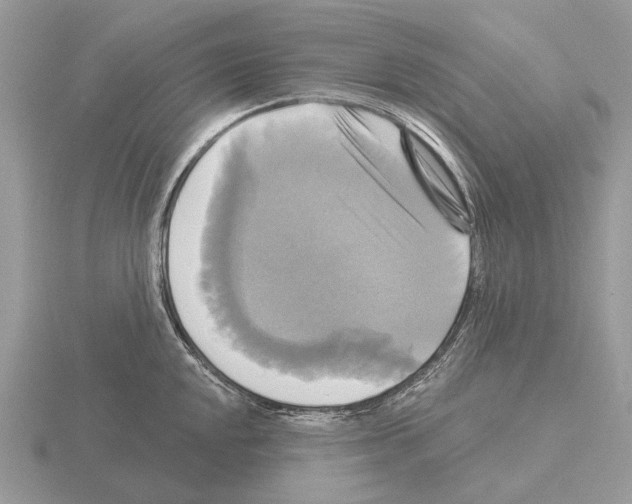 X0000115331048200912141215