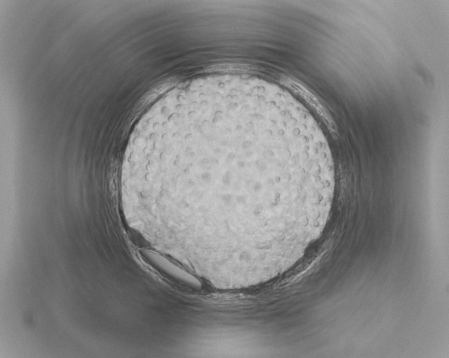 X0000115331049200912141215