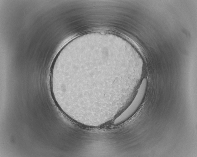 X0000115331050200912141215