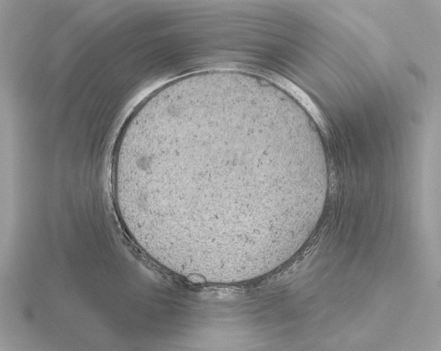 X0000115331051200912141215