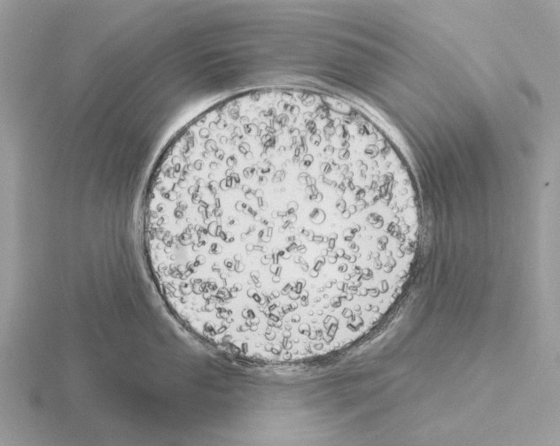 X0000115331053200912141215