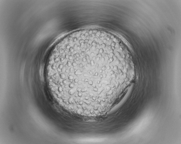 X0000115331054200912141215