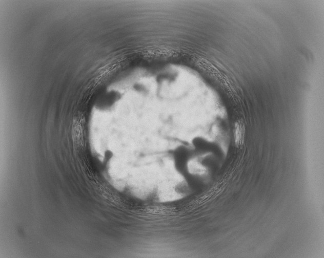 X0000115331059200912141214