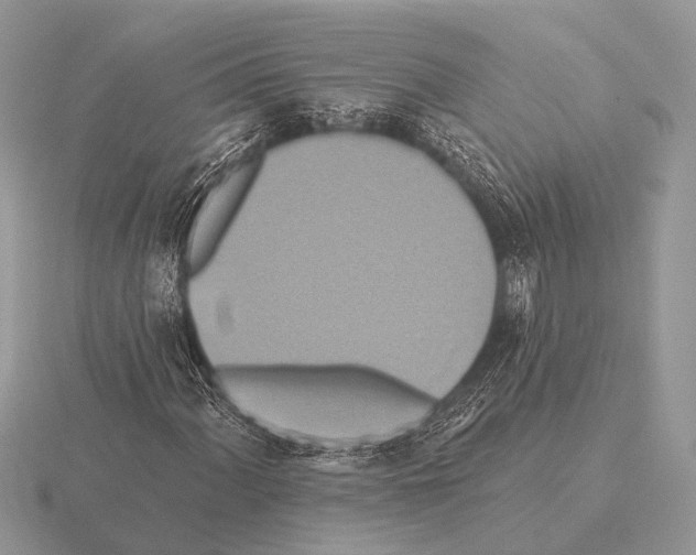 X0000115331060200912141214