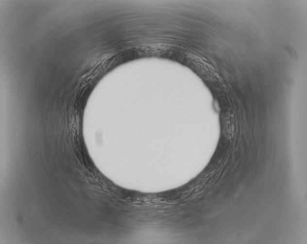 X0000115331061200912141214