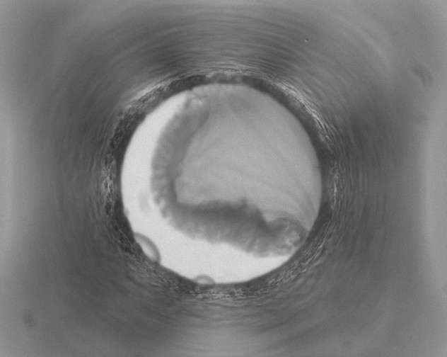 X0000115331063200912141214