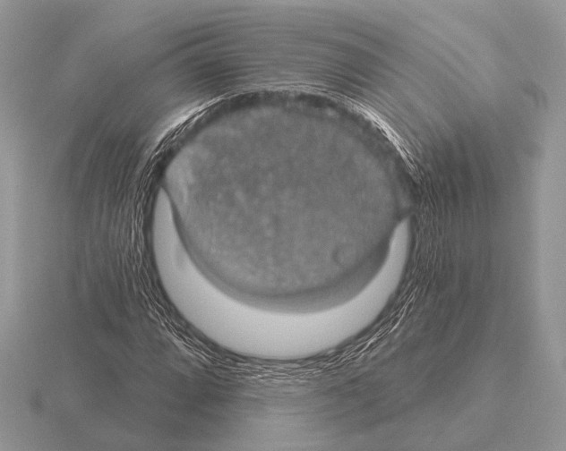 X0000115331064200912141214