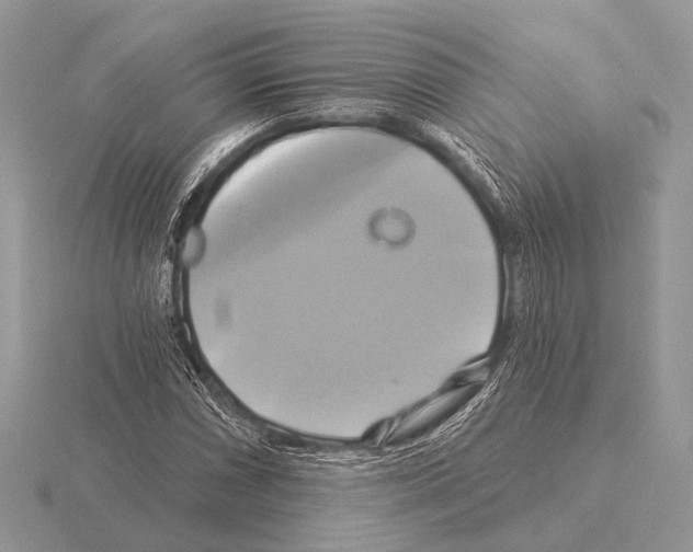 X0000115331066200912141214