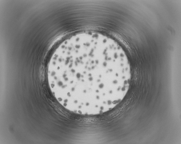 X0000115331067200912141214