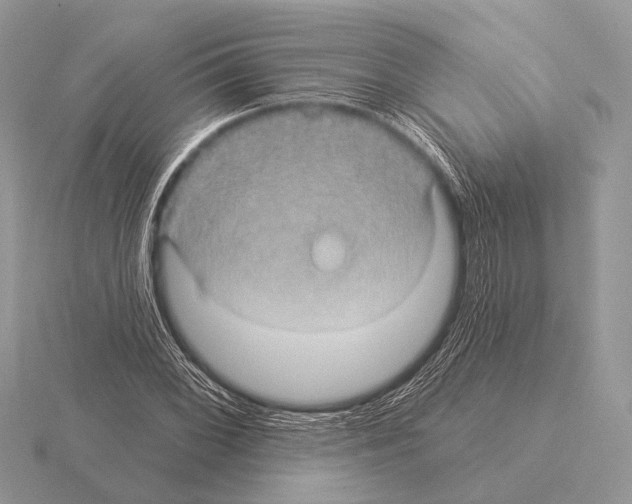 X0000115331068200912141214