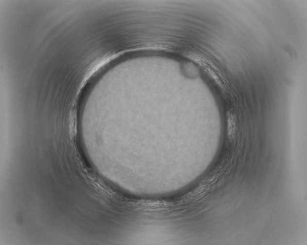 X0000115331069200912141214