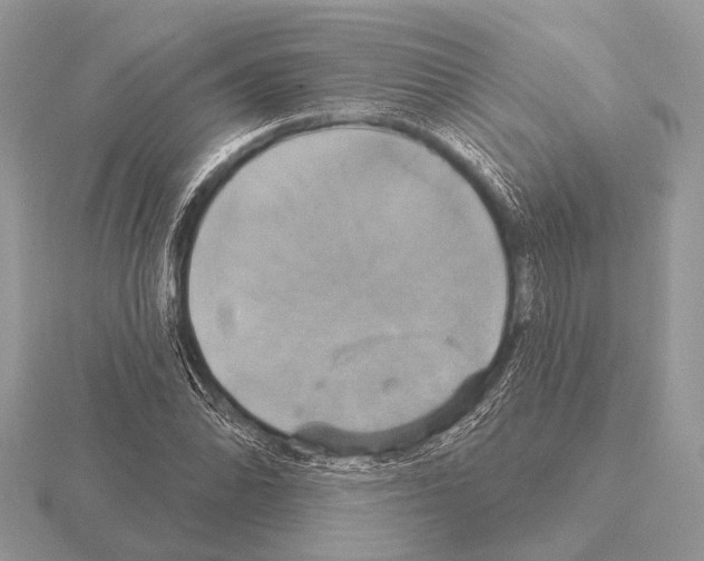 X0000115331070200912141214