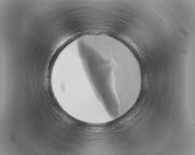 X0000115331071200912141214