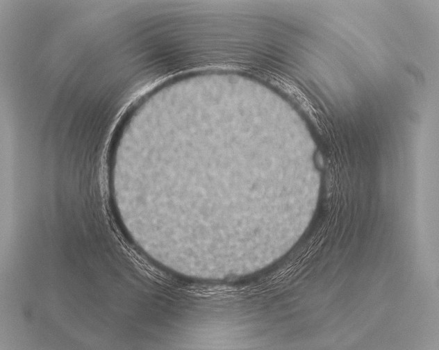 X0000115331072200912141214