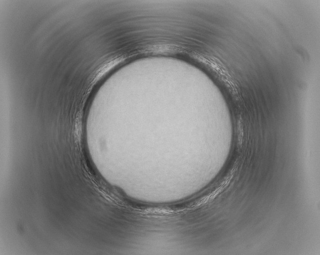 X0000115331073200912141214