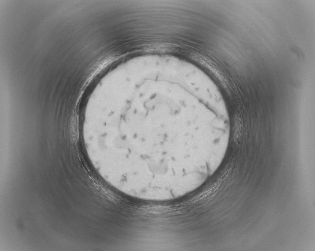 X0000115331075200912141214