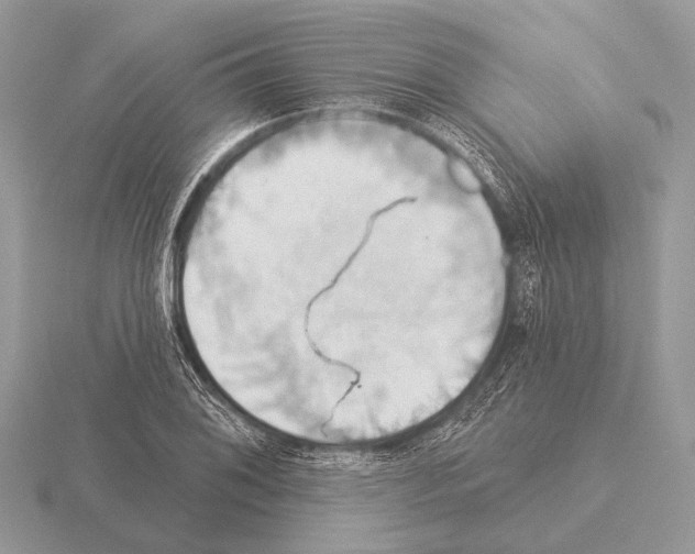 X0000115331076200912141214