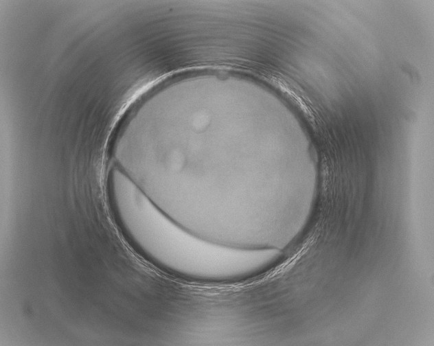 X0000115331077200912141214