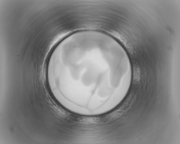 X0000115331078200912141214